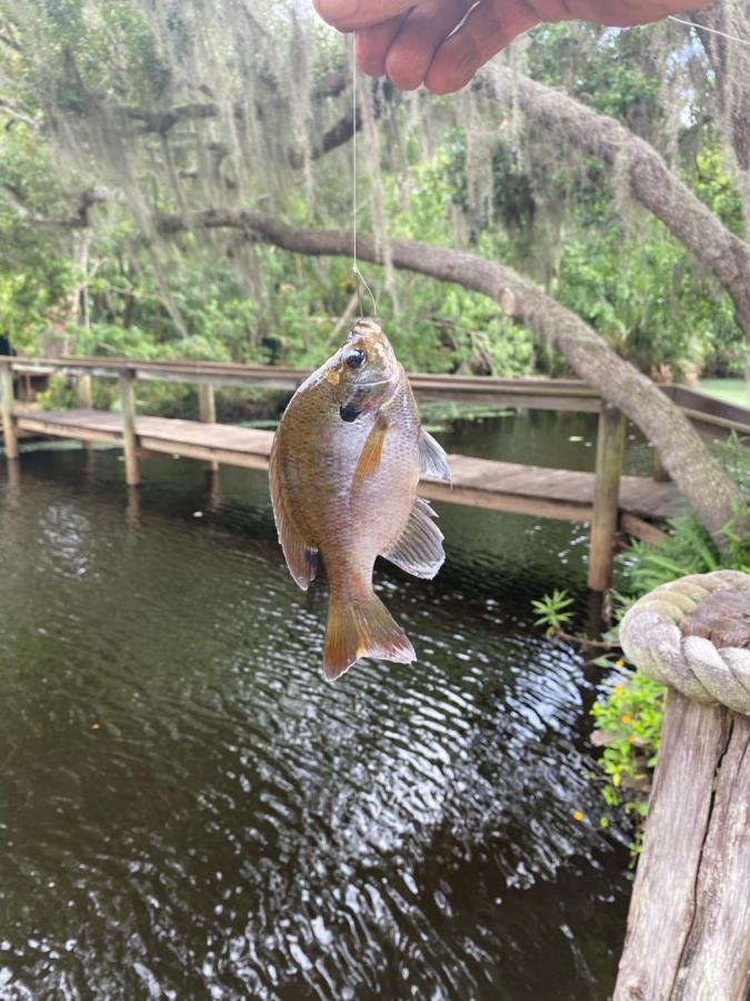 מלון טיטוסוויל Lake Front Rv Experience Close To Port Canaveral And Kennedy Space Center מראה חיצוני תמונה