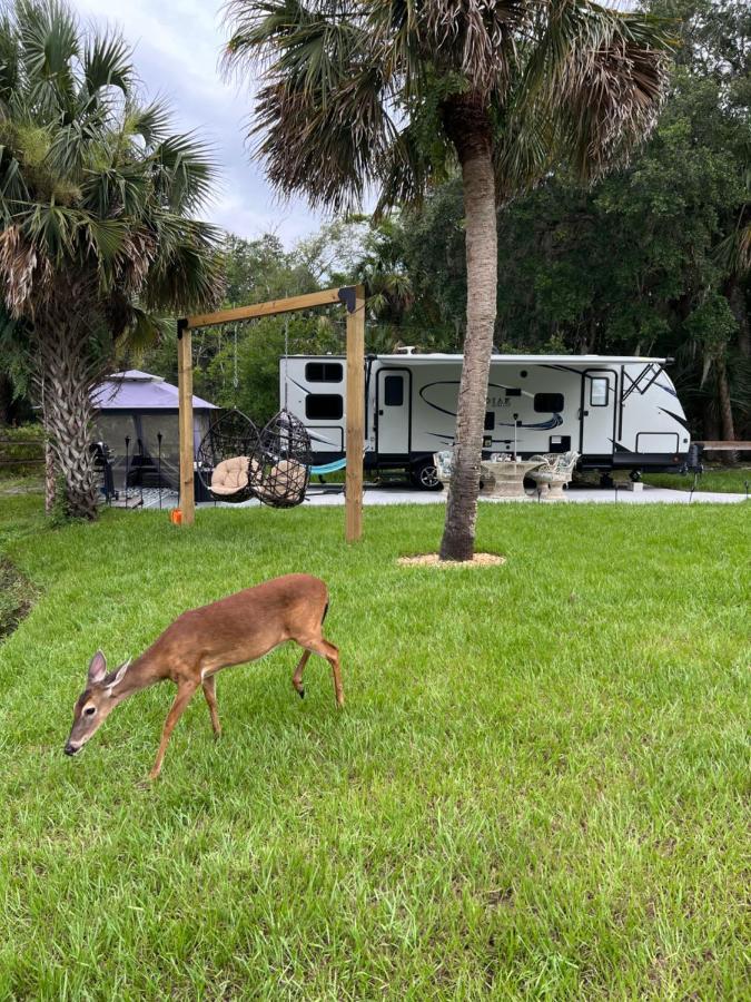 מלון טיטוסוויל Lake Front Rv Experience Close To Port Canaveral And Kennedy Space Center מראה חיצוני תמונה